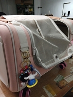 고양이 케리어 지퍼수선전