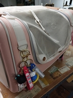 고양이 케리어 지퍼수선후