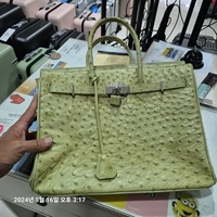 염색전
